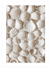 Deniz Kabukları - Art Print
